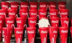 网红大可乐,揭秘网络红人的崛起之路